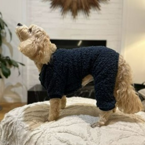 Blue Fleece Onesie for Dogs - Your Pup