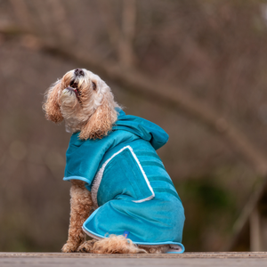 Blue Warm Bath Robe For Dogs - Your Pup
