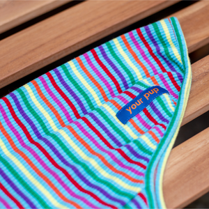 Colourful Dog T-Shirt - Your Pup