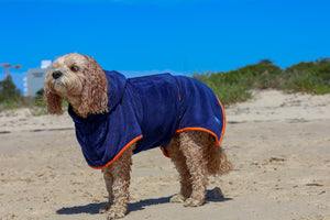 Blueberry Dog Drying Coat