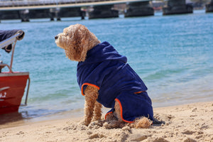 Blueberry Dog Drying Coat