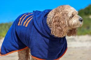 Blueberry Dog Drying Coat