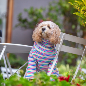 Four Legged Onesie for Dogs - Your Pup
