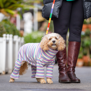 Onesie for Dogs - Your Pup