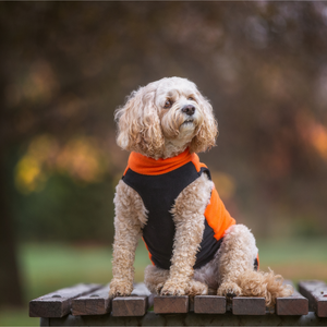Orange Fleece Dog Coat - Your Pup