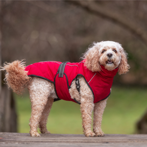 Red Dog Coat - Your Pup