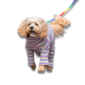Striped Onesie for Dogs - Your Pup
