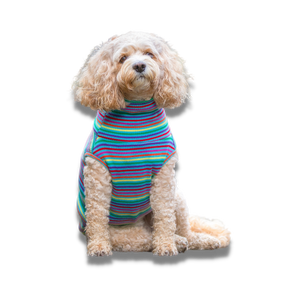 Striped Short Sleeve Dog Jumper - Your Pup