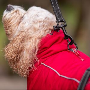 Waterproof Red Dog Coat - Your Pup