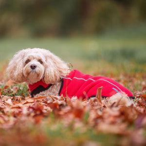 Ruby Red Dog Fleece Coat