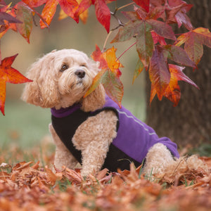 Mulberry Dog Fleece Coat