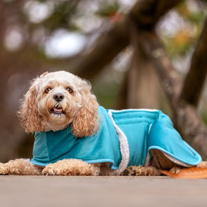 Aqua Snuggle Dog Robe