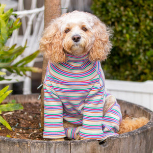 Fairy Floss Dog Onesie