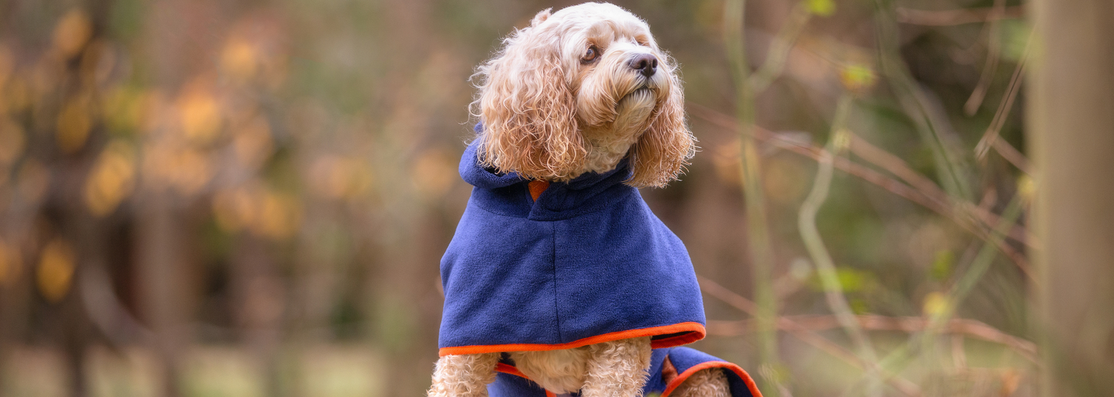 Dog Drying Coats & Robes