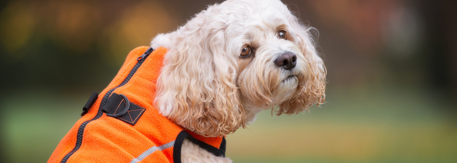 Fleece Dog Coats