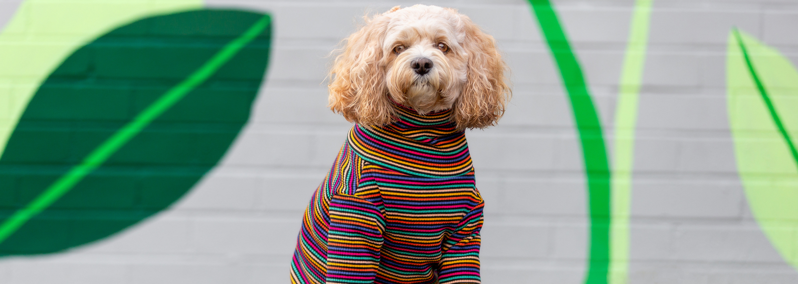 Dog T-Shirts & Onesies