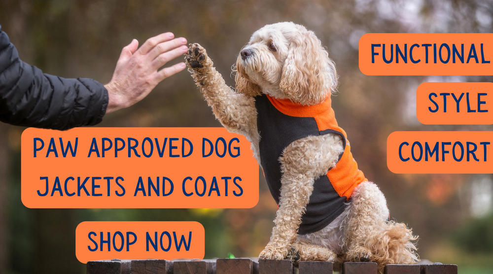 Luxury Dog Accessories Australia Coats, Jackets and More
