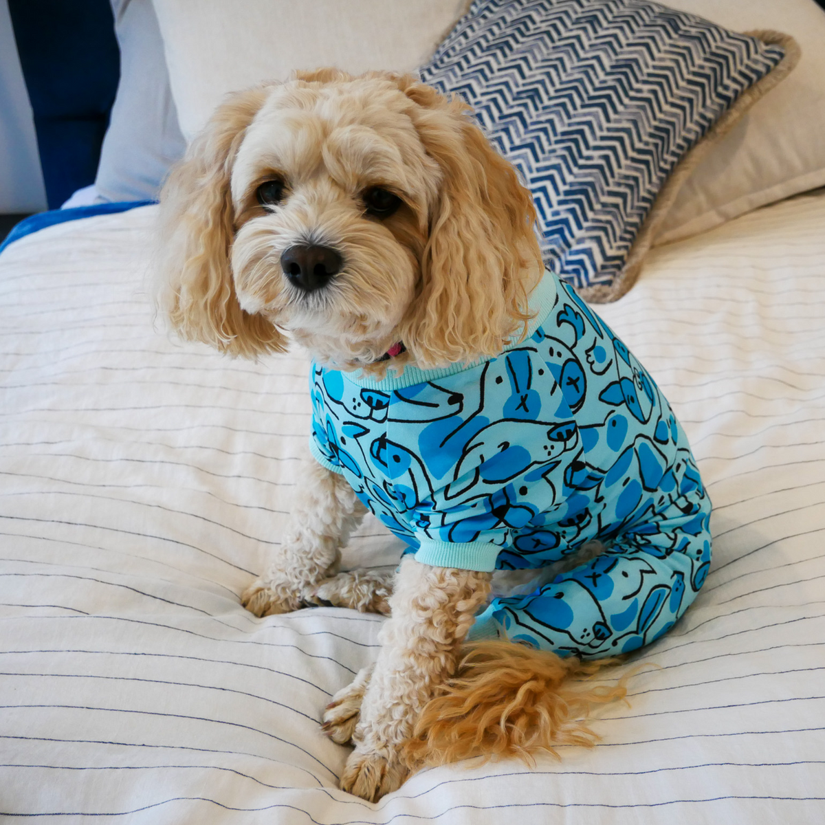 Blue PJS for Pets - Your Pup