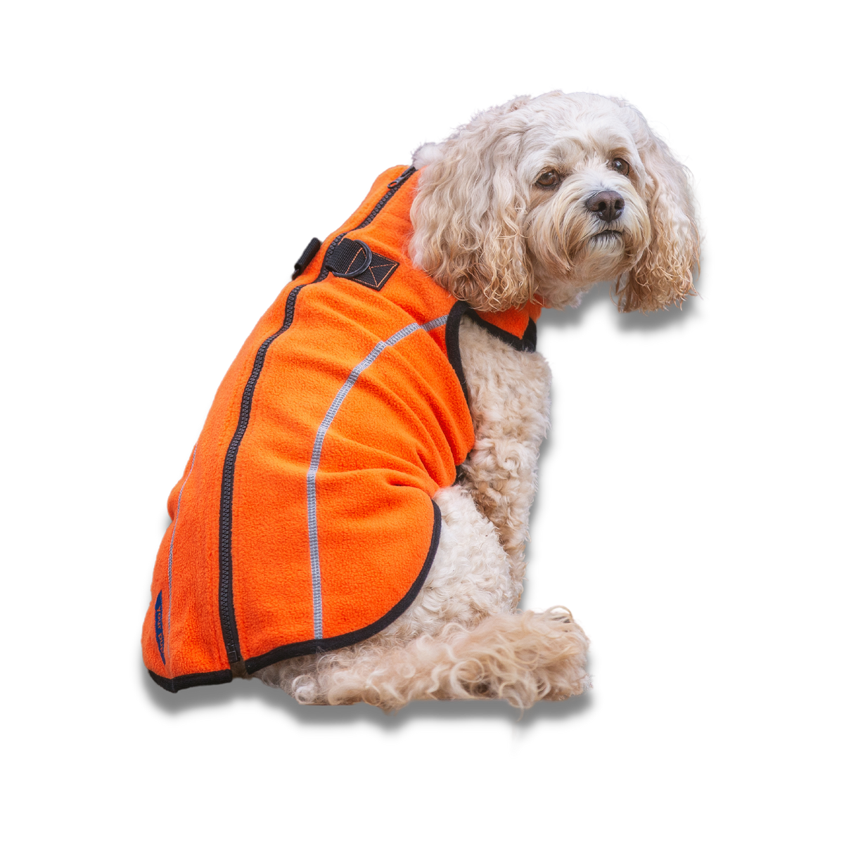 Orange dog fashion jacket