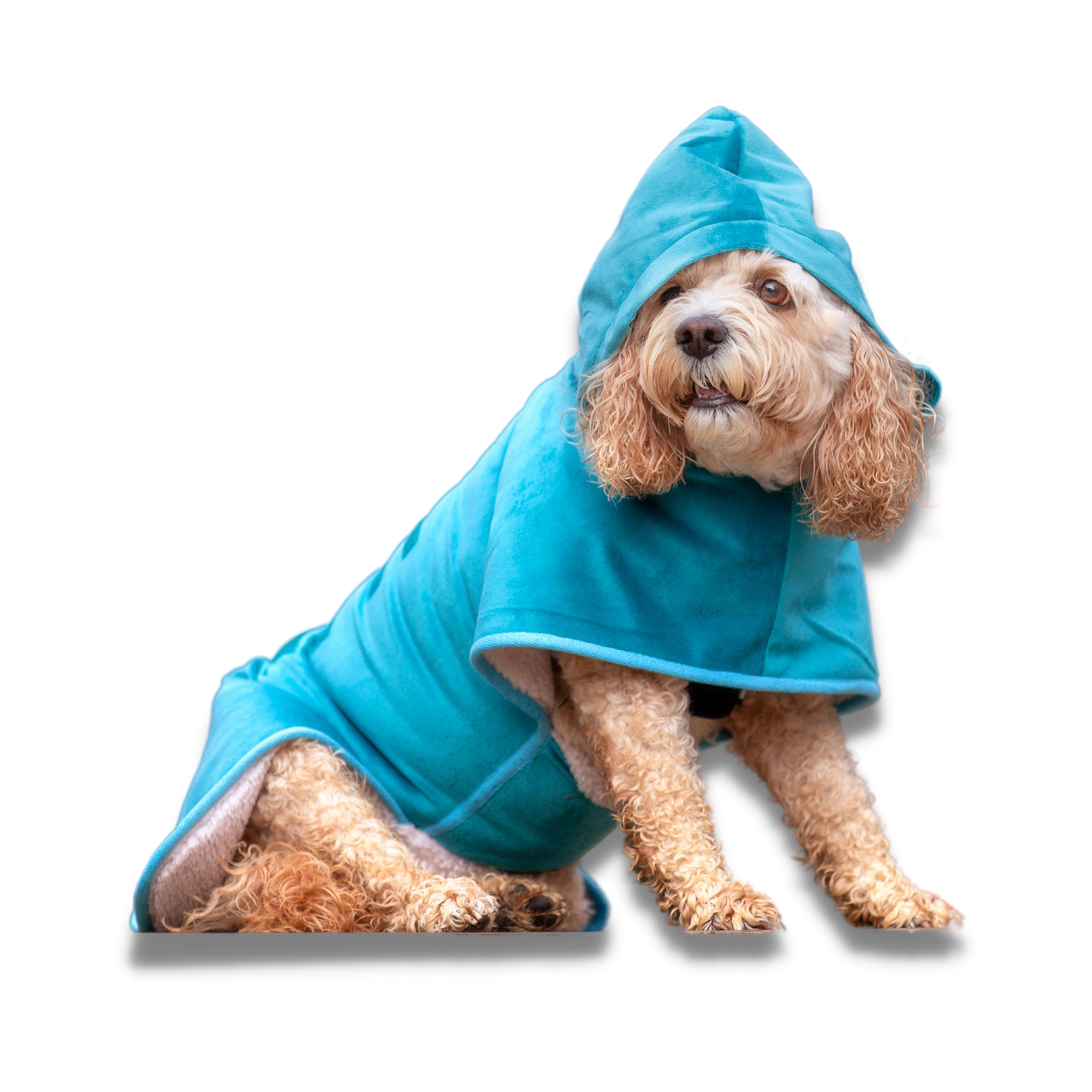 Dog Bath Robe - Your Pup