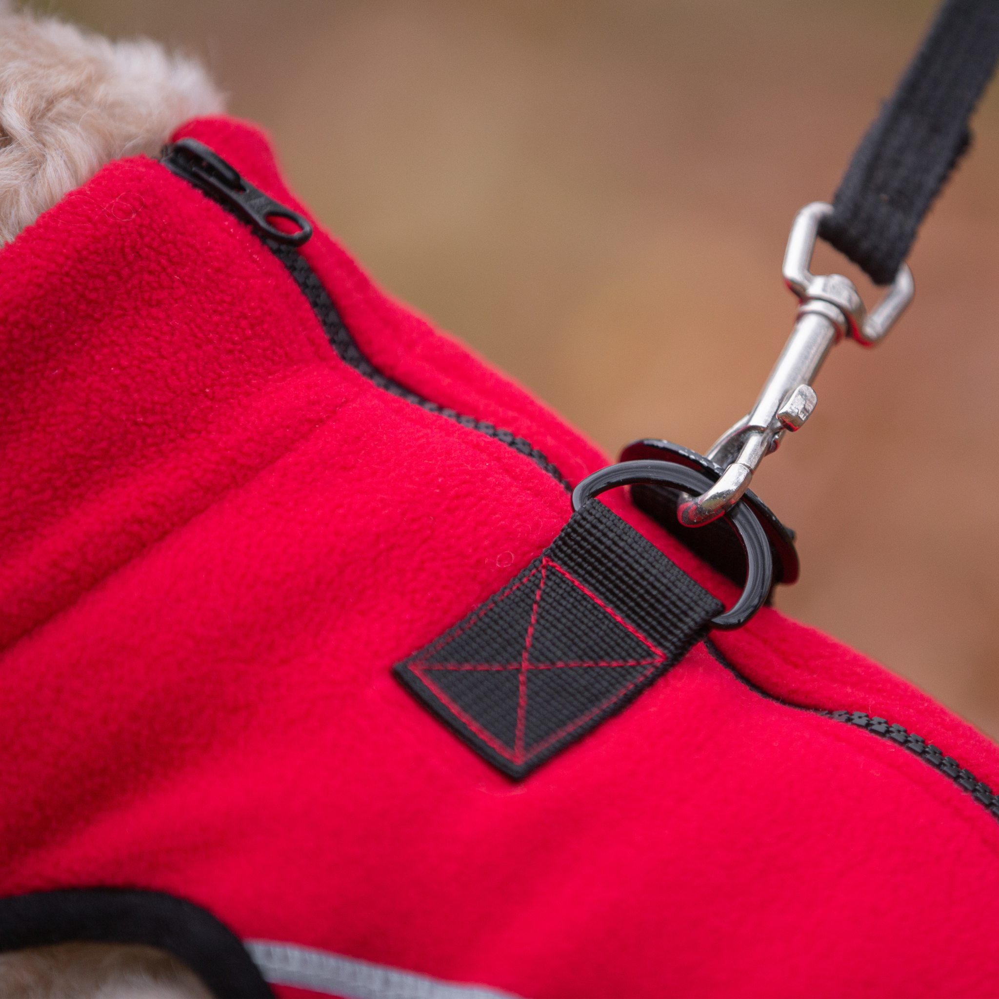 Dog coat online with harness clip