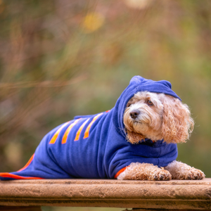 Drying Coat for Dogs and Puppies - Your Pup
