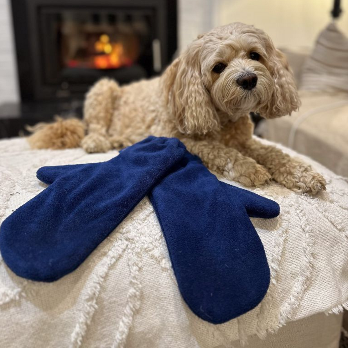 Pet Drying Mittens