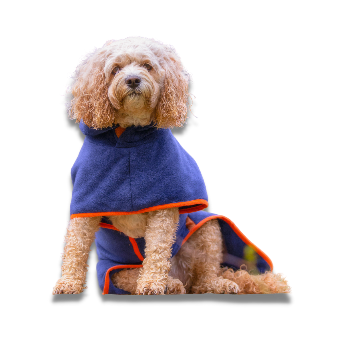 Blue Dog Drying Coat | Perfect for after Bath Time | Shop Now - Your Pup