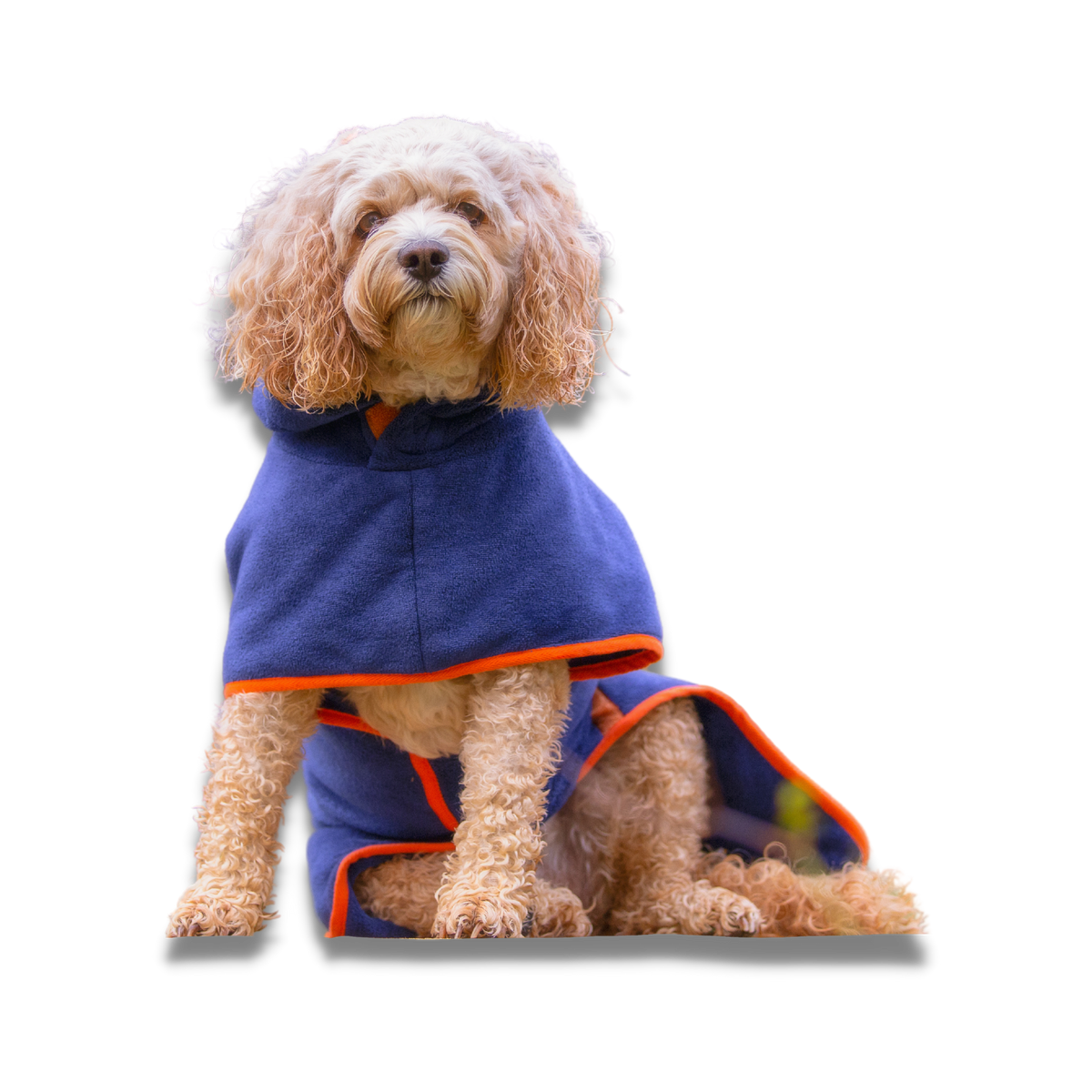 Blue Dog Drying Coat Perfect For After Bath Time Shop Now Your Pup blue-dog-drying-coat-perfect-for-after-bath-time-shop-now-your-pup