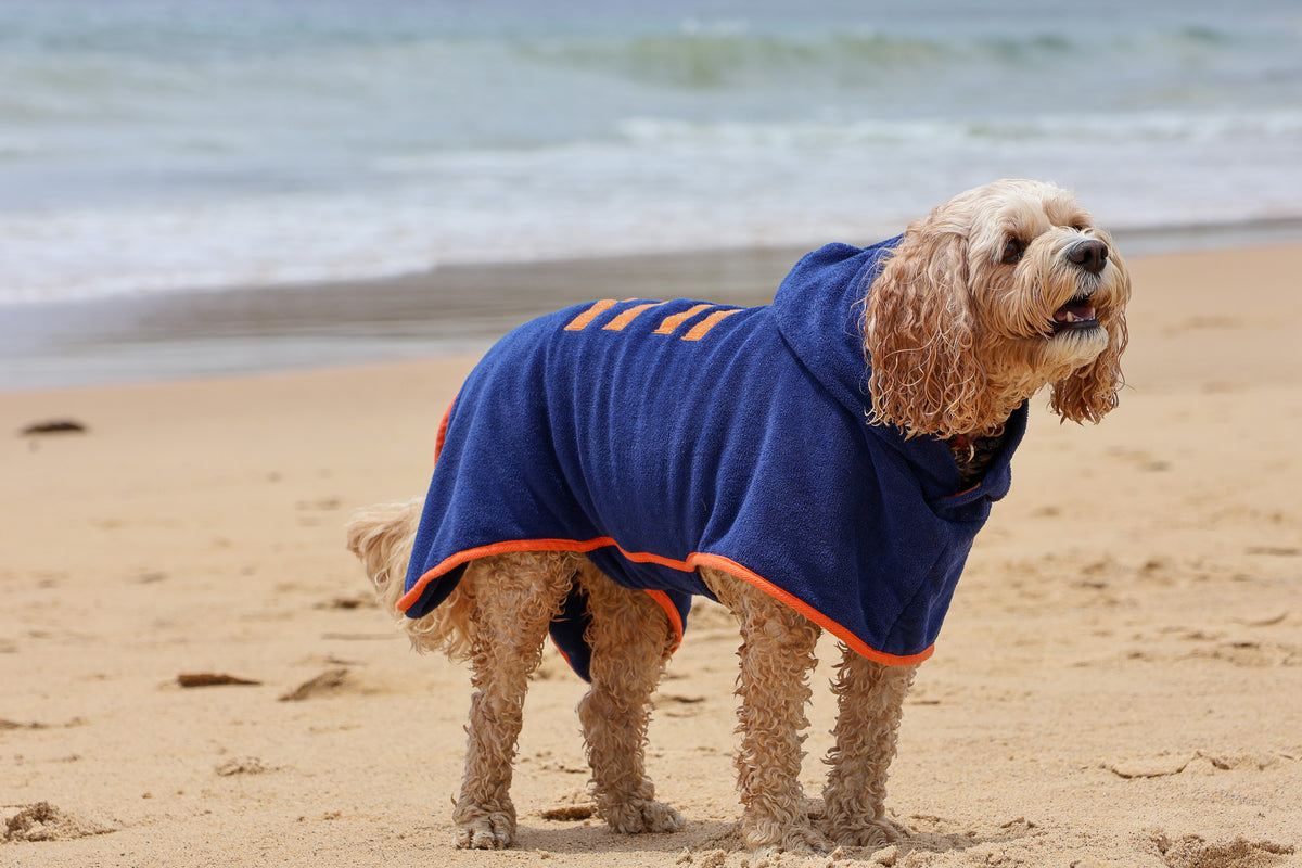 Blueberry Dog Drying Coat