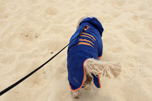 Blueberry Dog Drying Coat