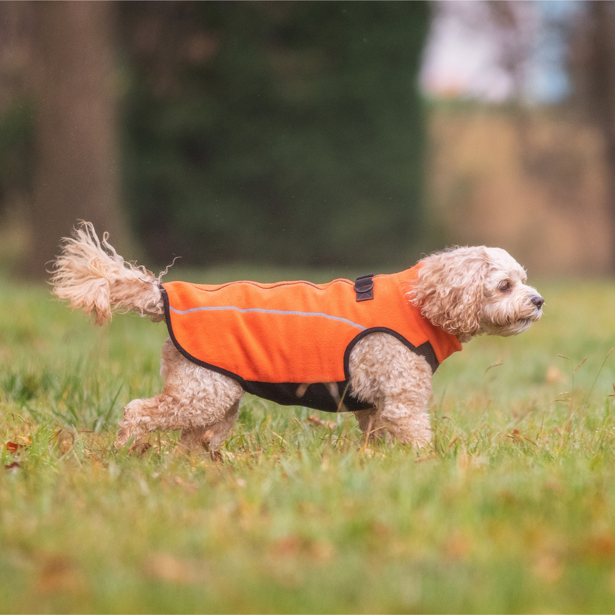 Orange Dog Fleece Coat - Your Pup
