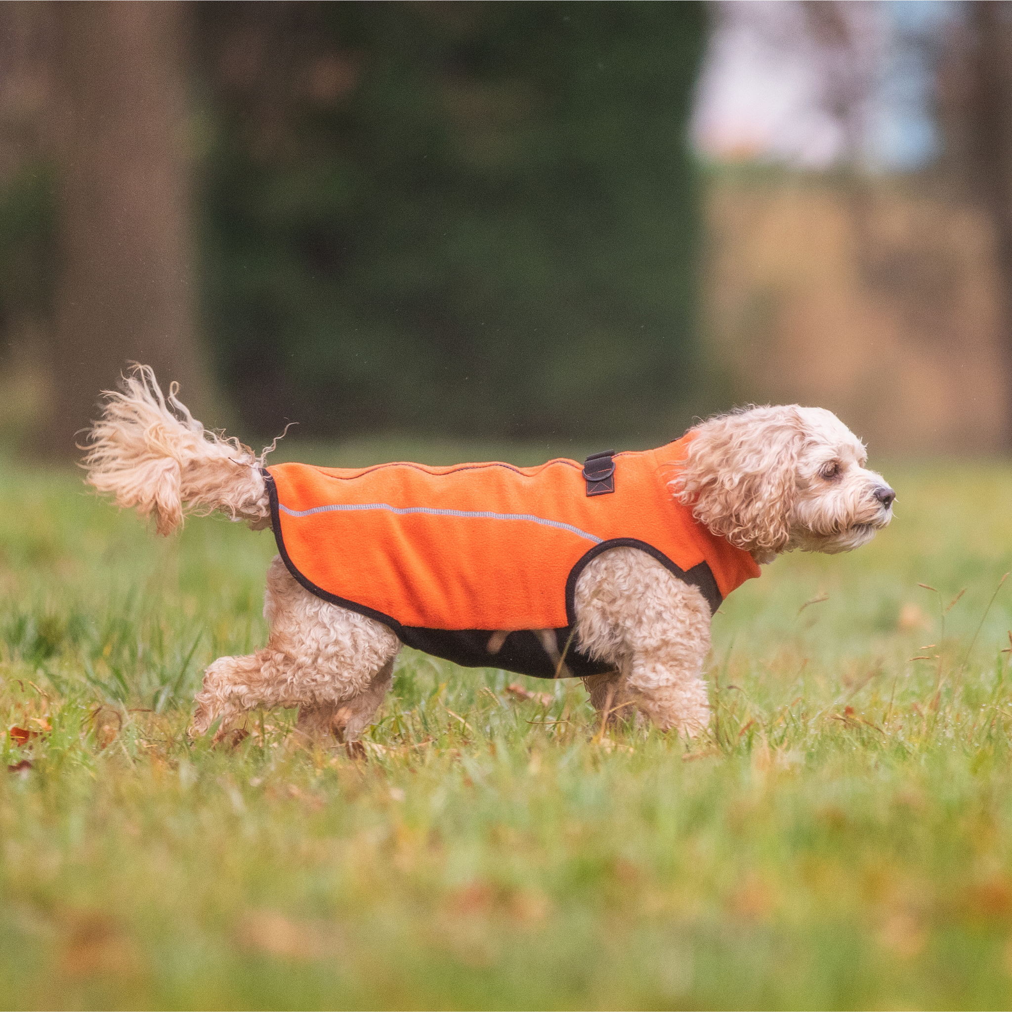 Large dog shop fleece jacket