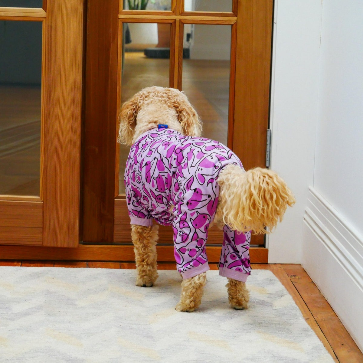 Pink and Purple PJS for Pets - Your Pup