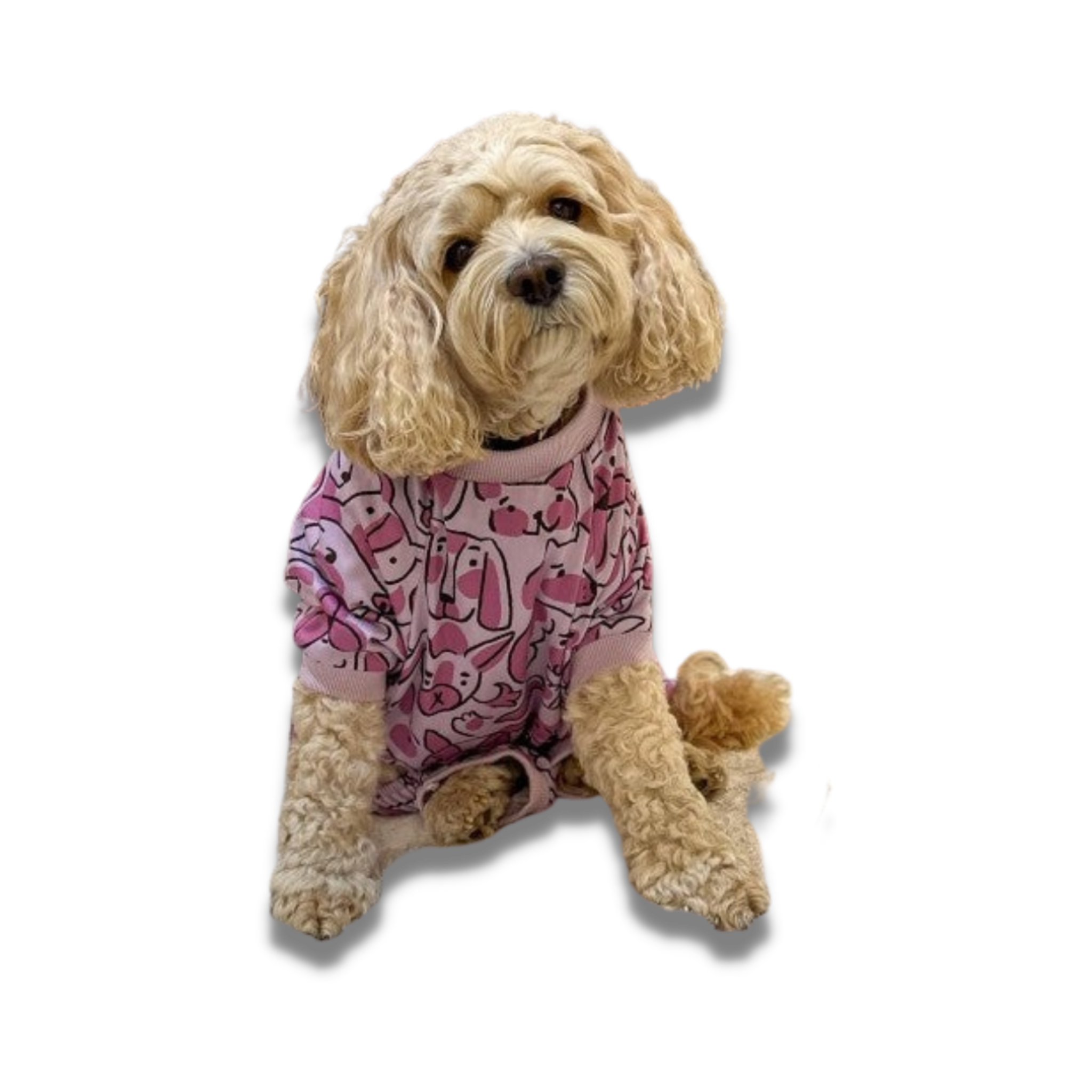Your dog discount on pyjamas