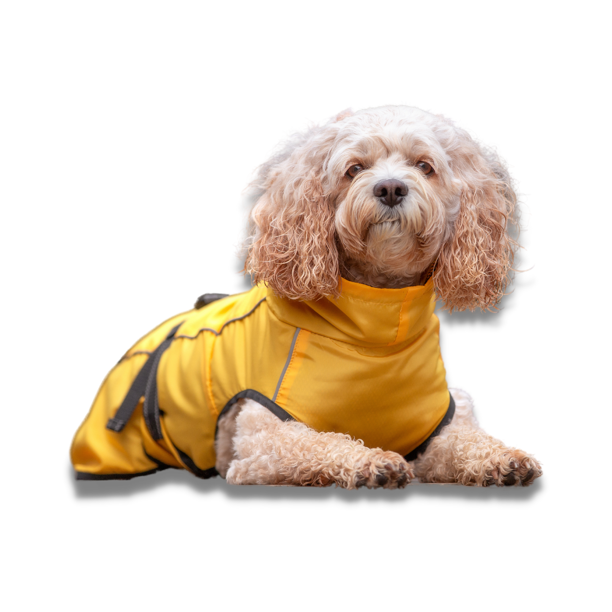 Raincoat for Dogs - Your Pup