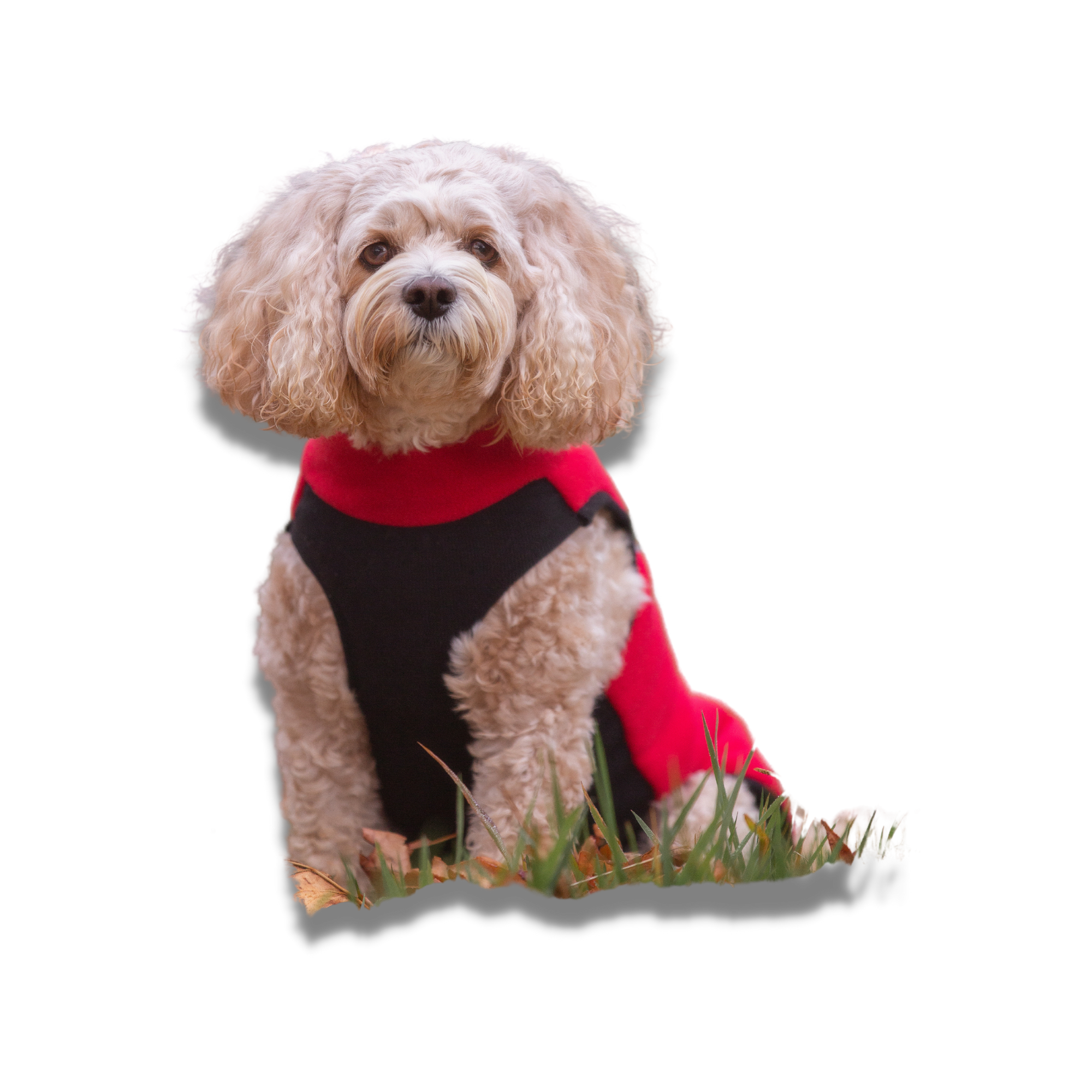Red Fleece Jacket for Dogs - Your Pup