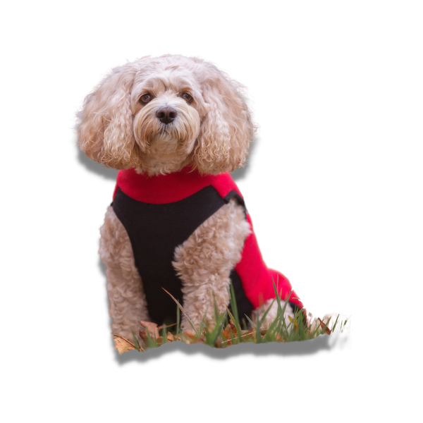 Aqua fleece for sales dogs
