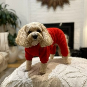 Red Fleece Onesie for Dogs - Your Pup