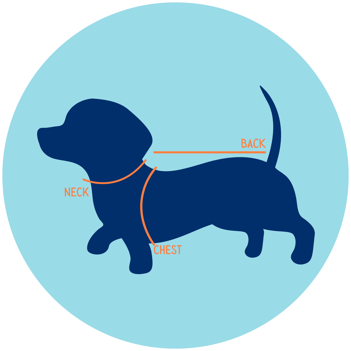 YOUR PUP Pet Measurement Guide Size Guide and Step Guide Your Pup