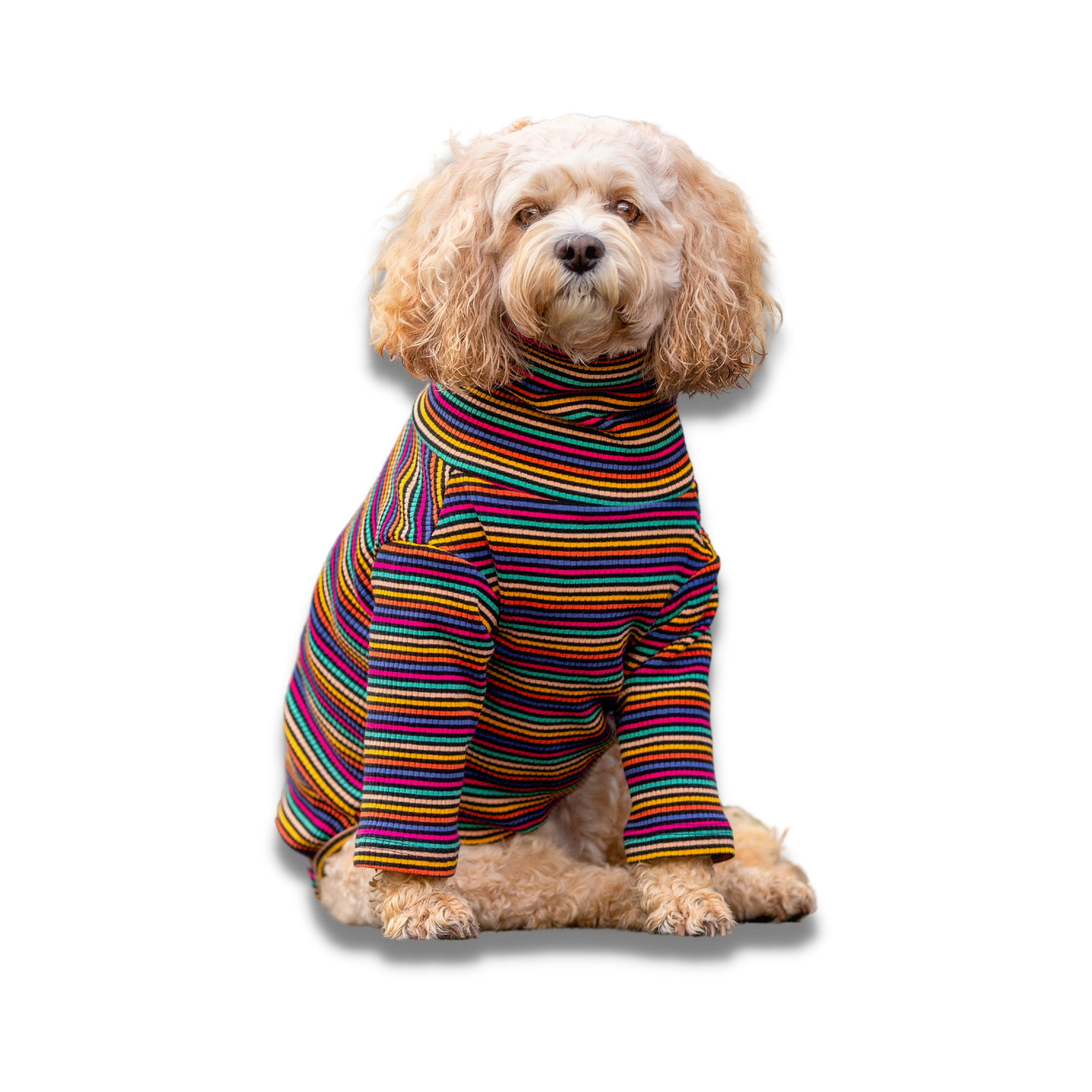 Striped Long Sleeve Dog Top - Your Pup