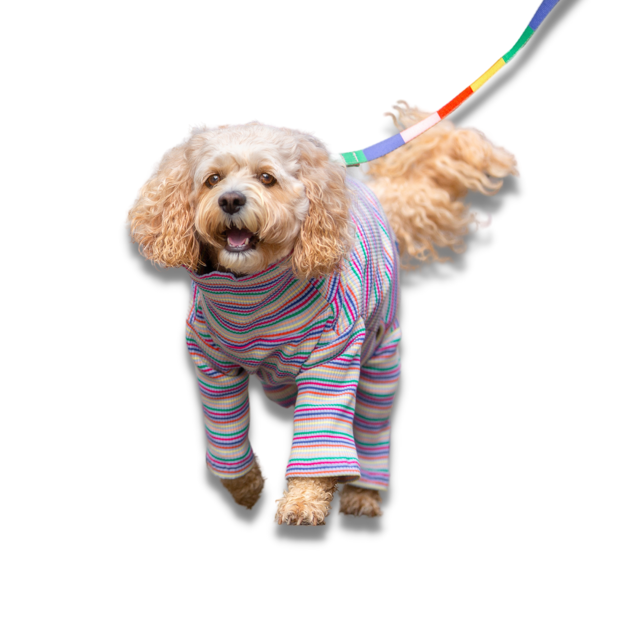 Striped Onesie for Dogs - Your Pup