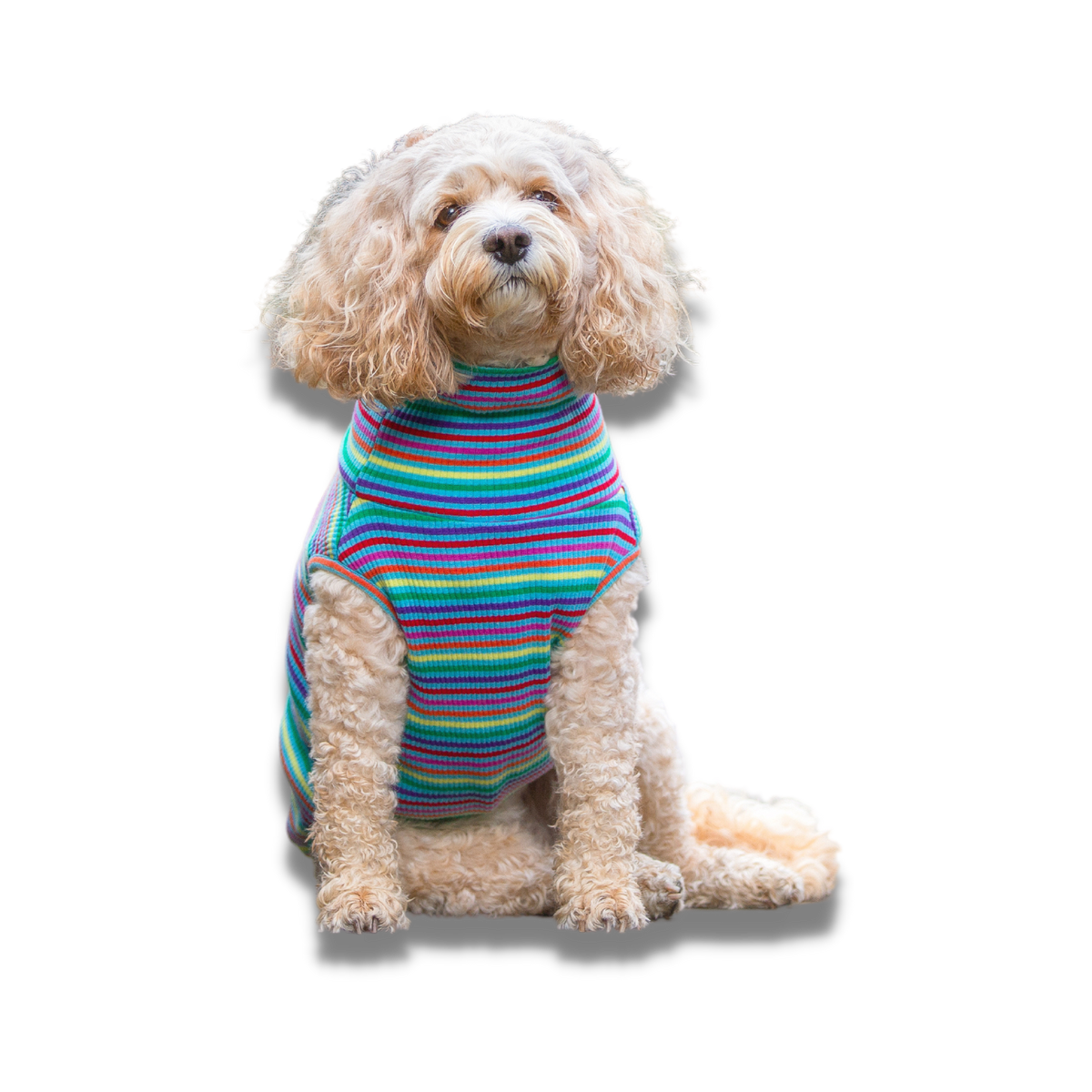 Striped Short Sleeve Dog Jumper - Your Pup