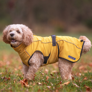 Yellow Raincoat for Dogs - Your Pup