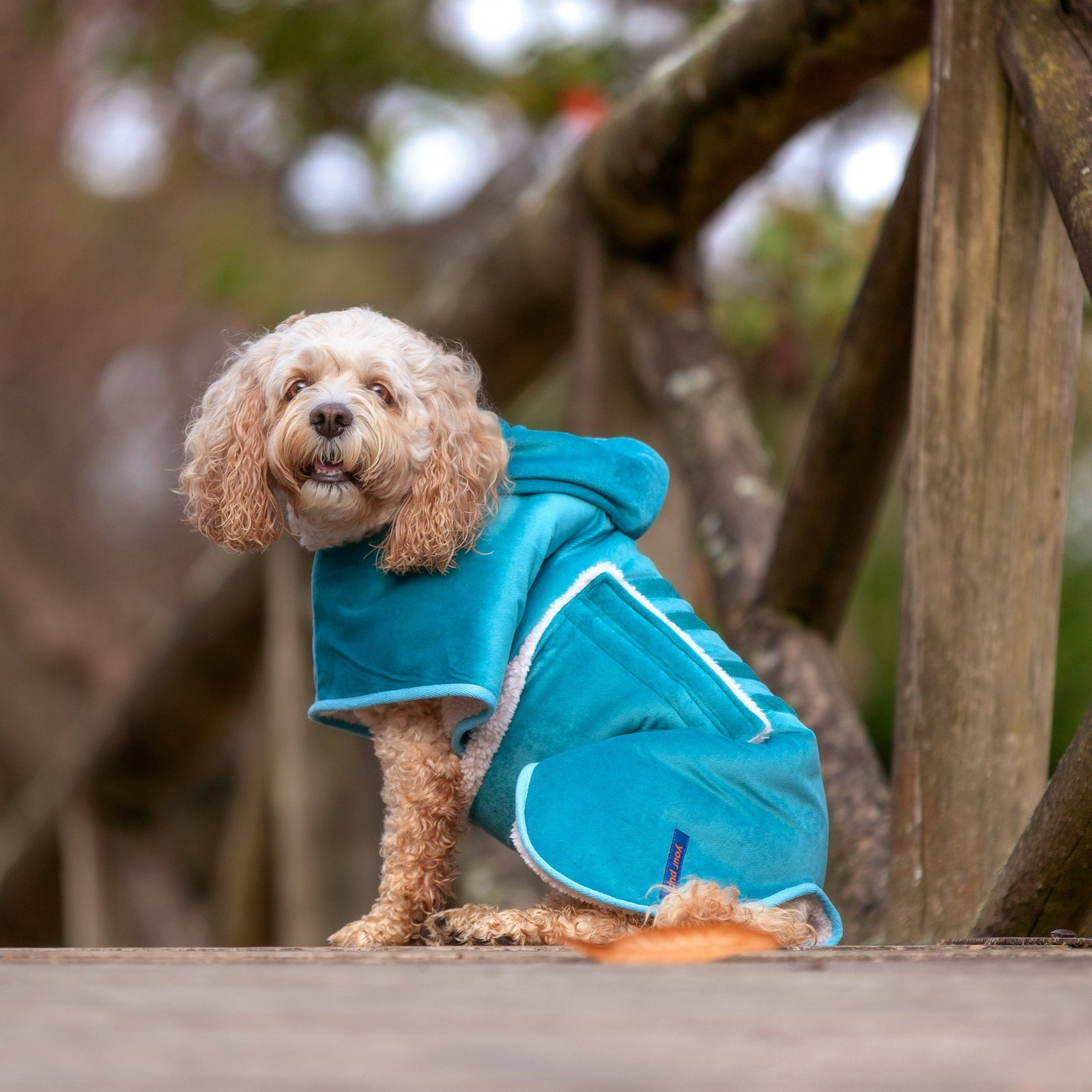Warm Bath Robe For Dogs - Your Pup