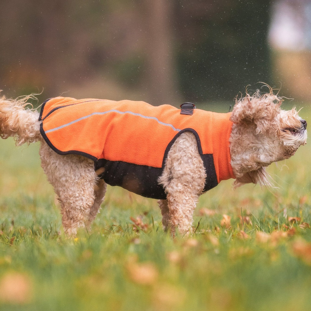 Tangerine Dog Fleece Coat