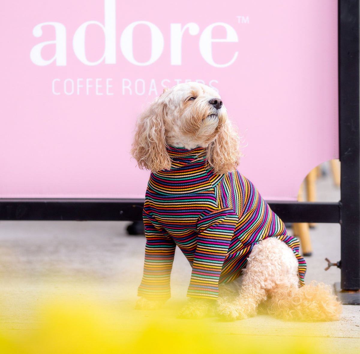 Candy Stripe Long Dog Tee