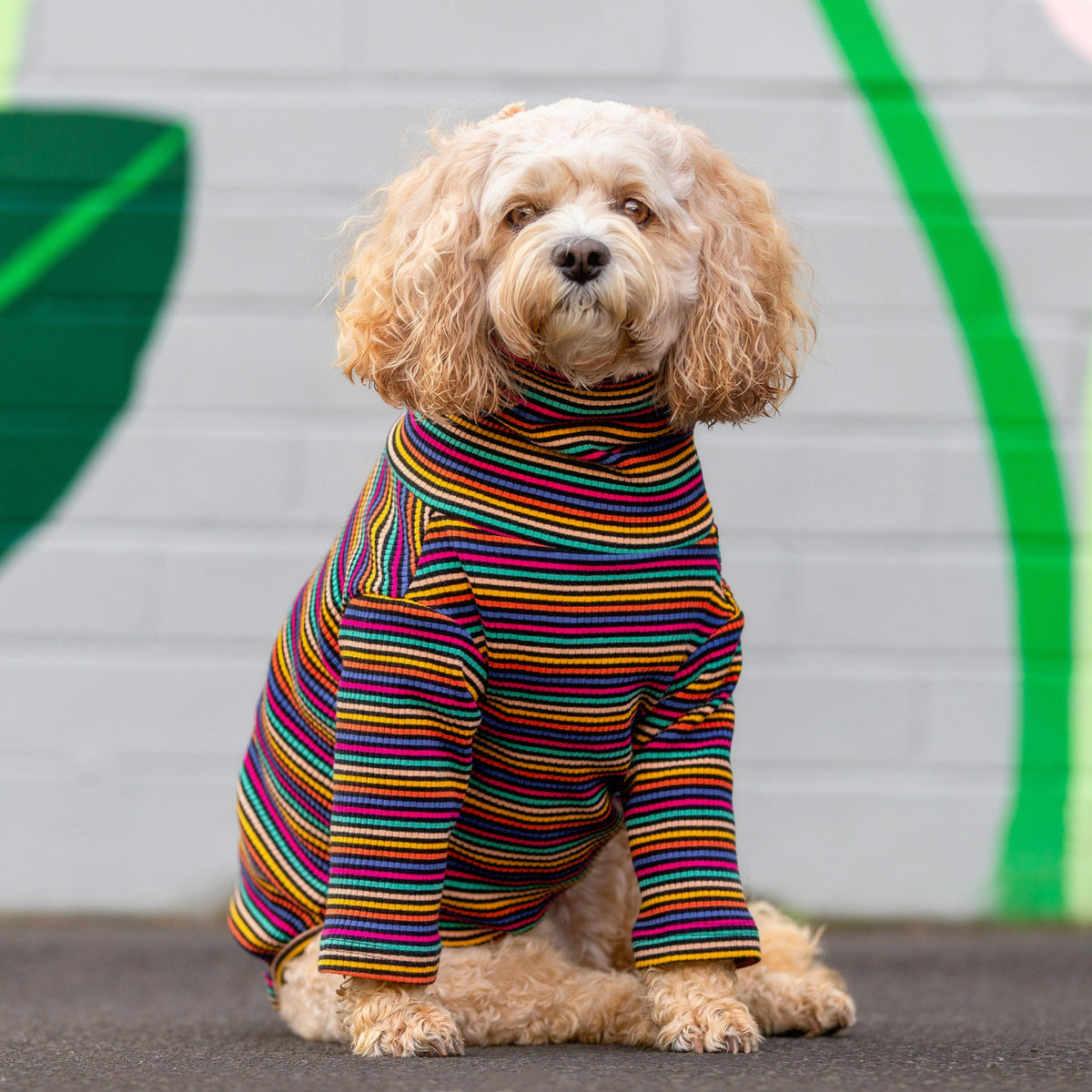 Candy Stripe Long Dog Tee