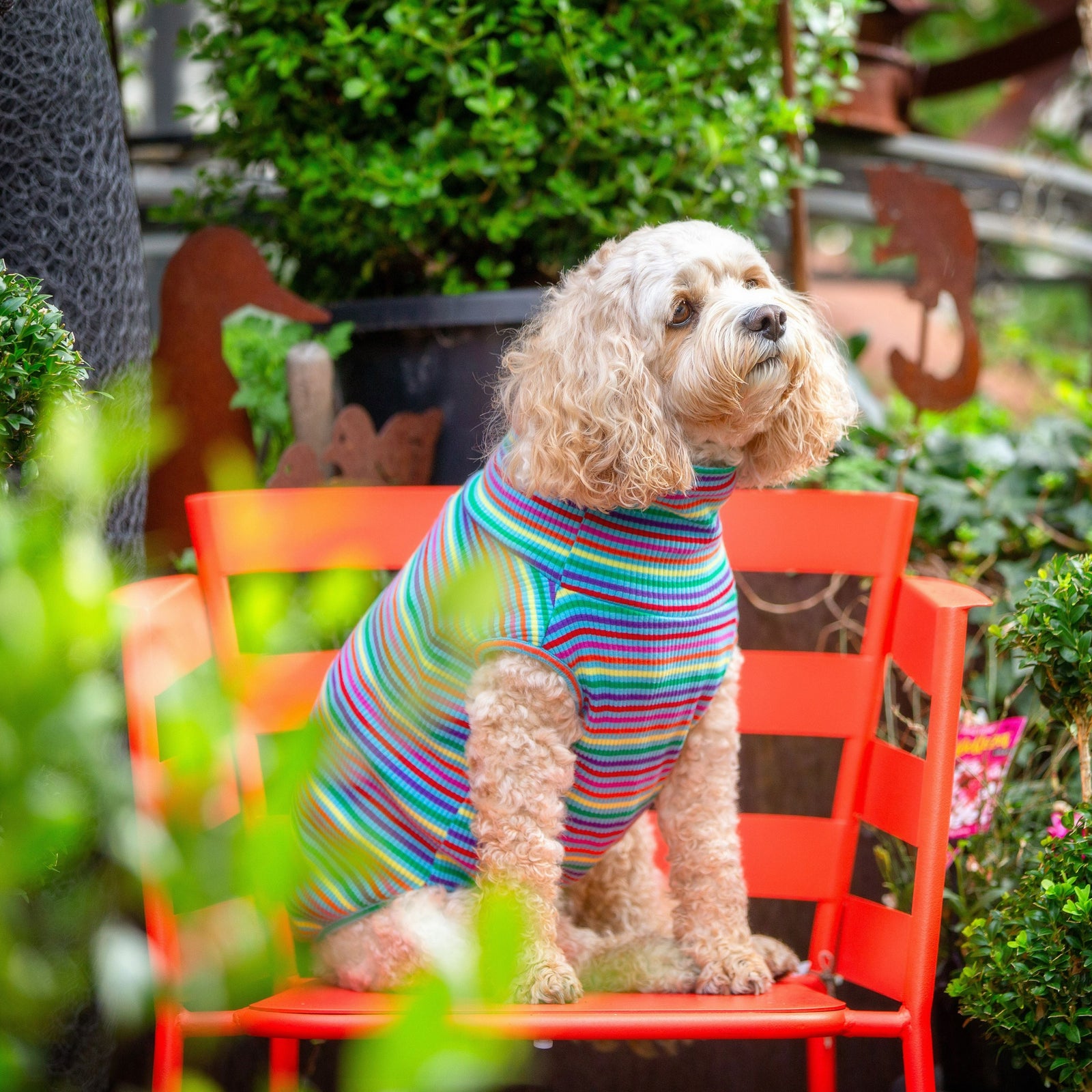 Striped Colourful Dog T-Shirt - Your Pup