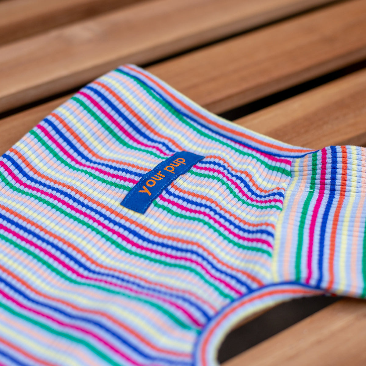 Fairy Floss Dog Onesie